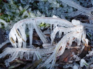 Ice sculpture Eaglehawk Hill 2 June 2015